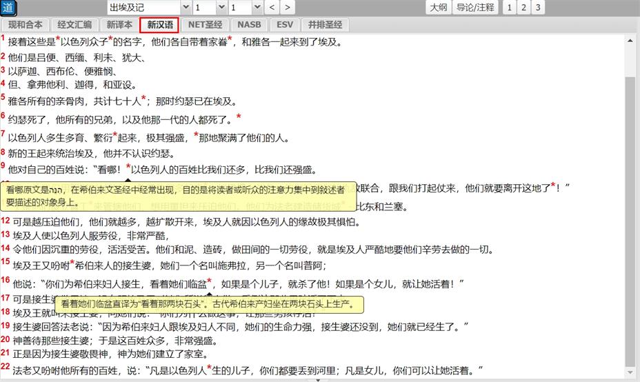 新汉语译本界面示例1